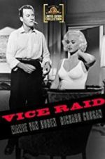 Watch Vice Raid Zmovie