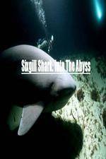 Watch National Geographic Wild Sixgill Shark Into The Abyss Zmovie