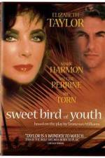 Watch Sweet Bird of Youth Zmovie