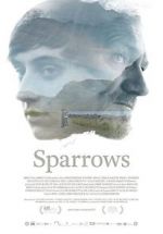 Watch Sparrows Zmovie