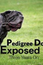 Watch Pedigree Dogs Exposed, Three Years On Zmovie