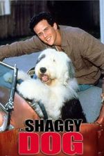 Watch The Shaggy Dog Zmovie