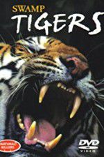 Watch Swamp Tigers Zmovie