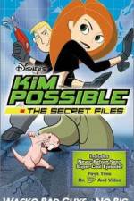 Watch "Kim Possible" Attack of the Killer Bebes Zmovie