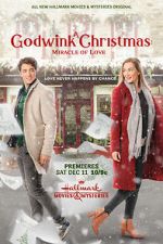 Watch A Godwink Christmas: Miracle of Love Zmovie