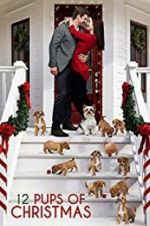 Watch 12 Pups of Christmas Zmovie