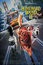 Watch Homeward Bound II: Lost in San Francisco Zmovie