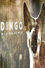 Watch Dingo Wild Dog at War Zmovie