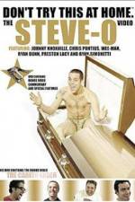 Watch Don't Try This at Home The Steve-O Video Zmovie