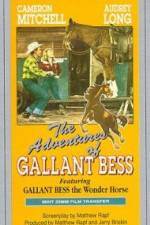 Watch Adventures of Gallant Bess Zmovie