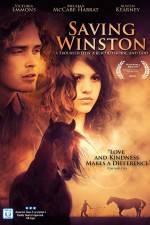 Watch Saving Winston Zmovie