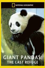 Watch National Geographic Giant Pandas The Last Refuge Zmovie