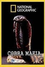 Watch National Geographic Cobra Mafia Zmovie