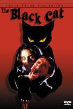 Watch Black Cat Zmovie