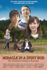 Watch Miracle in Kasama Zmovie