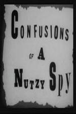 Watch Confusions of a Nutzy Spy Zmovie