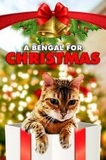 Watch A Bengal for Christmas Zmovie