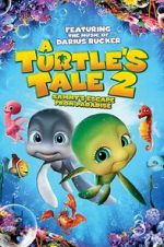 Watch A Turtle\'s Tale 2: Sammy\'s Escape from Paradise Zmovie