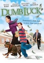 Watch Dumb Luck Zmovie