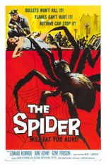 Watch The Spider Movie25
