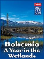 Watch Bohemia: A Year in the Wetlands Zmovie