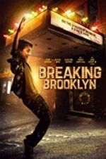 Watch Breaking Brooklyn Zmovie