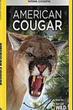 Watch National Geographic - American Cougar Zmovie