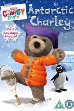 Watch Little Charley Bear - Antarctic Charley Zmovie