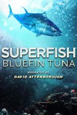 Watch Superfish Bluefin Tuna Zmovie