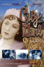 Watch Die Frau aus Chicago Zmovie