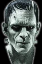 Watch Frankenstein Birth of a Monster Zmovie