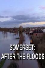 Watch Somerset: After the Floods Zmovie