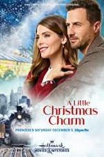 Watch A Little Christmas Charm Zmovie