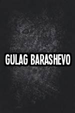 Watch Gulag Barashevo Zmovie