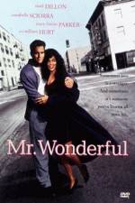 Watch Mr Wonderful Zmovie