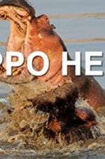 Watch Hippo Hell Zmovie