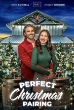 Watch A Perfect Christmas Pairing Zmovie