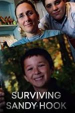 Watch Surviving Sandy Hook Zmovie