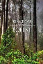 Watch National Geographic Kingdom of the Forest Zmovie