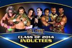 Watch WWE Hall of Fame Zmovie