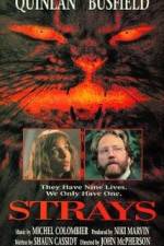 Watch Strays Zmovie