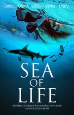 Watch Sea of Life Zmovie