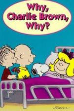 Watch Why Charlie Brown Why Zmovie