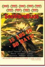 Watch SeeMoreBuds: Vol. 1 Zmovie