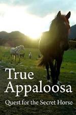 Watch True Appaloosa Zmovie