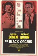 Watch The Black Orchid Zmovie