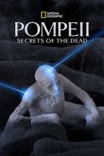 Watch Pompeii: Secrets of the Dead (TV Special 2019) Zmovie