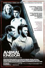 Watch Animal Kingdom Zmovie