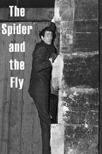 Watch The Spider and the Fly Zmovie