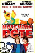 Watch Hatching Pete Zmovie